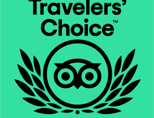 Travelers’ Choice Award 2021